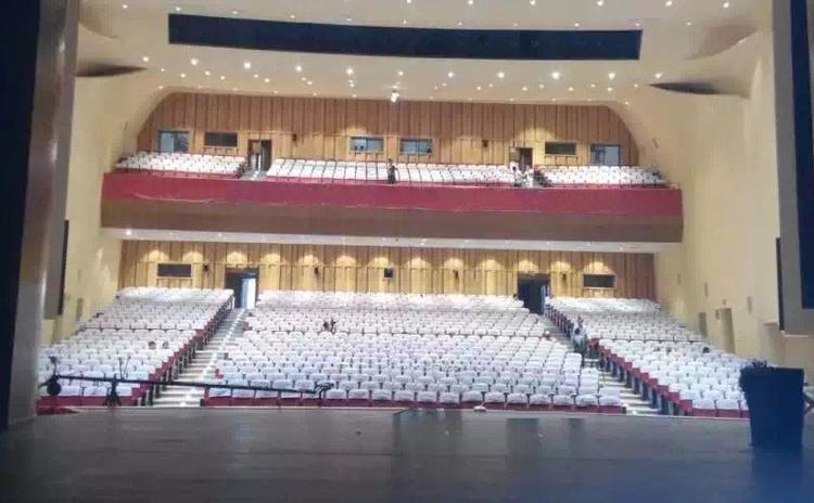 山東臨沂劇院聲學工程