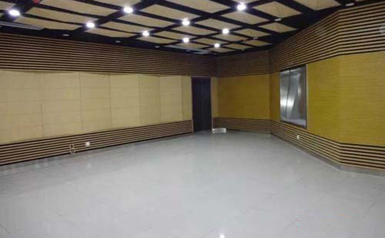 四川資陽大會(huì)議室空間吸聲體聲學(xué)工程-2